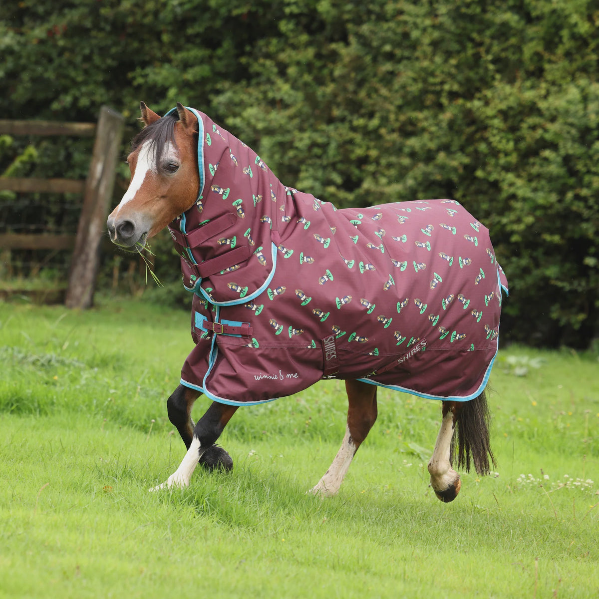 Shires Winnie & Me 200 Turnout Combo Rug Maroon
