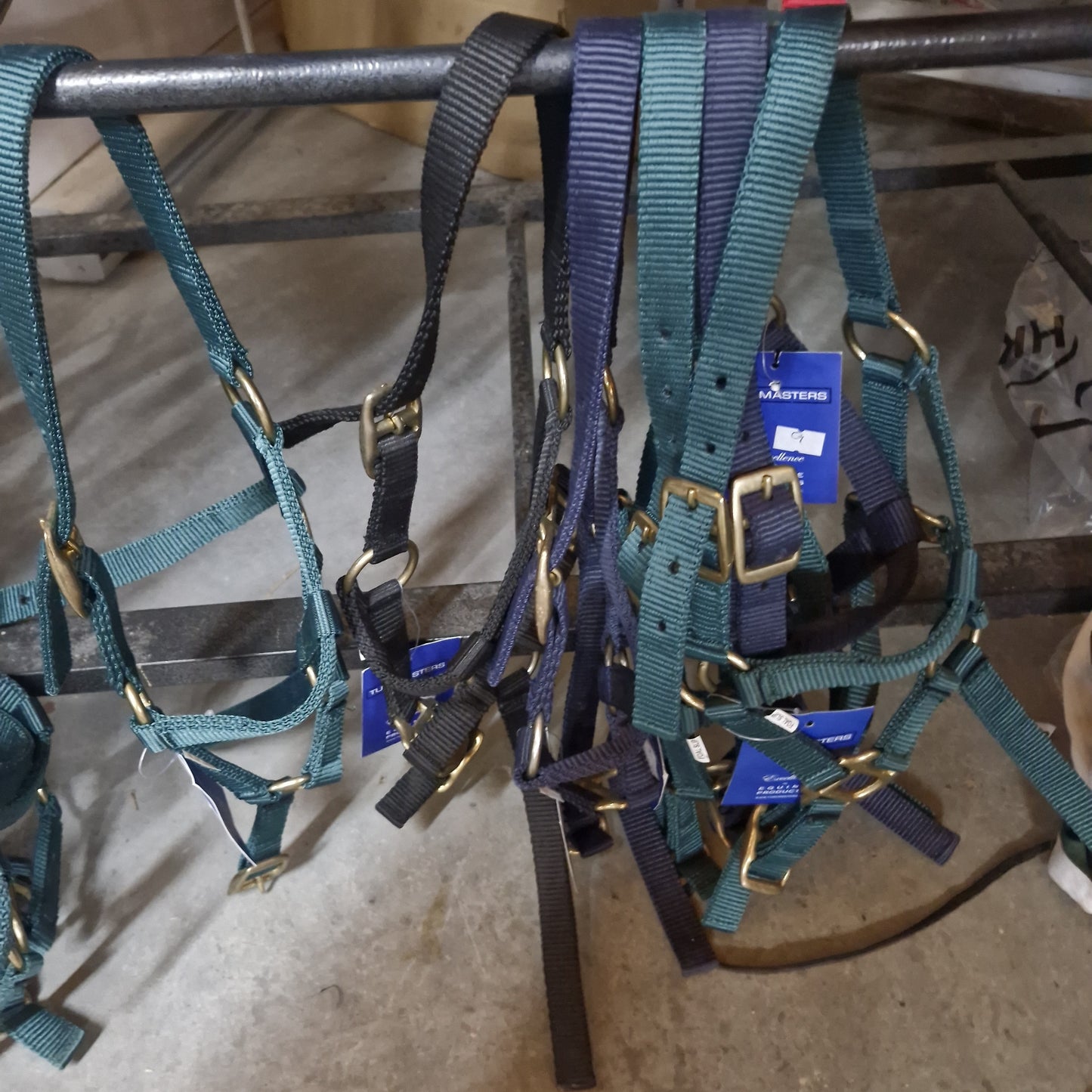 Nylon Headcollar- Various Colours- Foal Slip