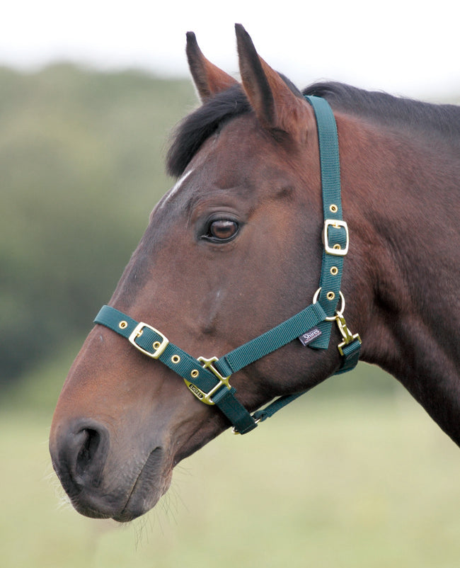 Shires Nylon Headcollar- Small Pony
