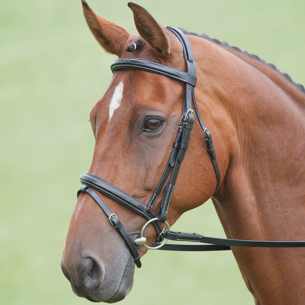 Salisbury Bodenham Bridle - Black/White Stitiching- Pony Size- Was €72