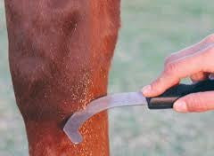 Ezi-Groom Bot Knife