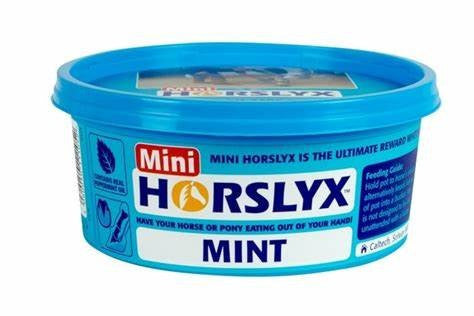 Horslyx Mint Lick Mini 650g