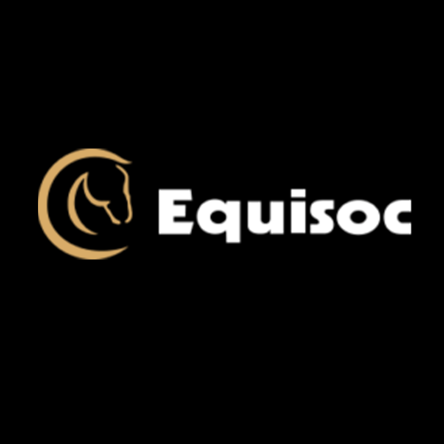 Equisoc (Ire) Mens- Corey 2 - Navy/Grey Plain- 2 Pack- UK7-11