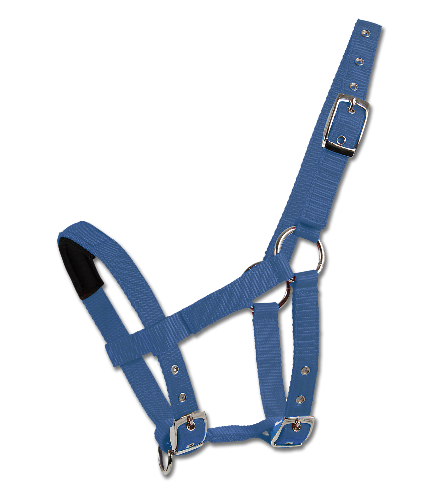 Waldhausen Headcollar for Mini-Shetland- Blue