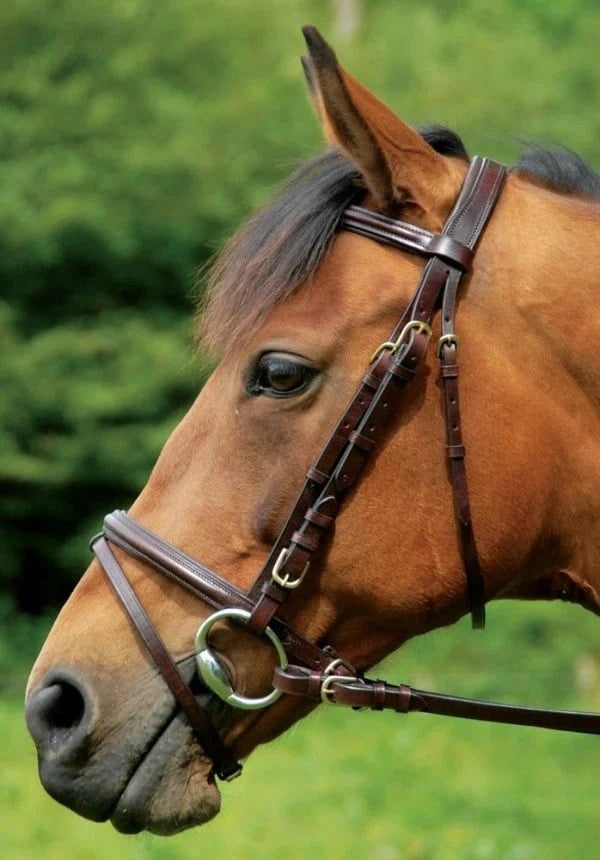 Celtic Equine Comfort Reins- Brass Buckle Brown