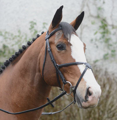 Mackey Classic Mexican Grackle Bridle