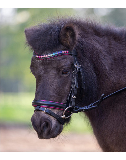 Star Bridle "Pinky"-...