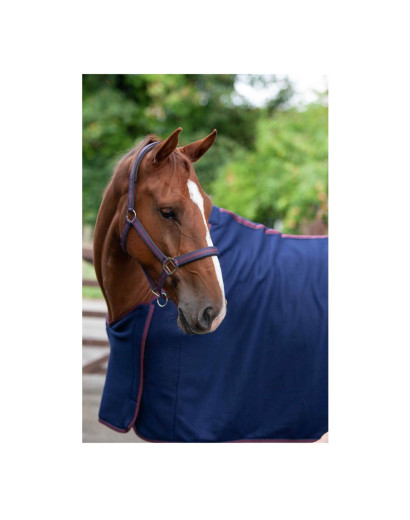 Cameo Equine Core Show Rug-...