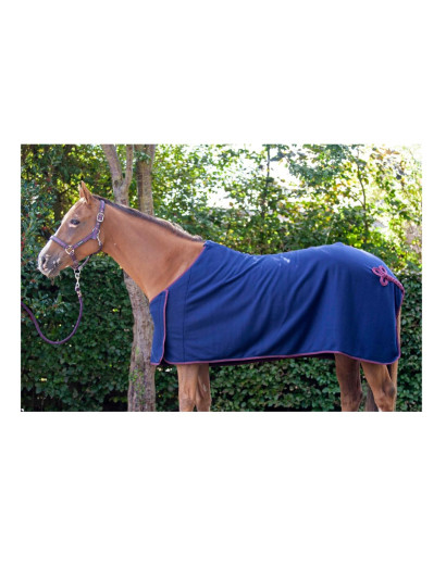 Cameo Equine Core Show Rug-...