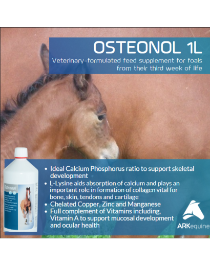 Derbymed (Germany) Ostenol