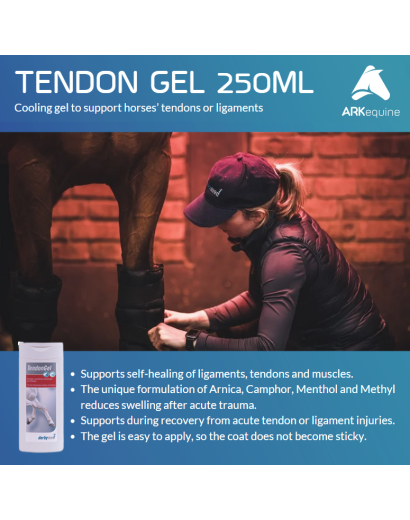 Derbymed Tendon Gel- 250ml