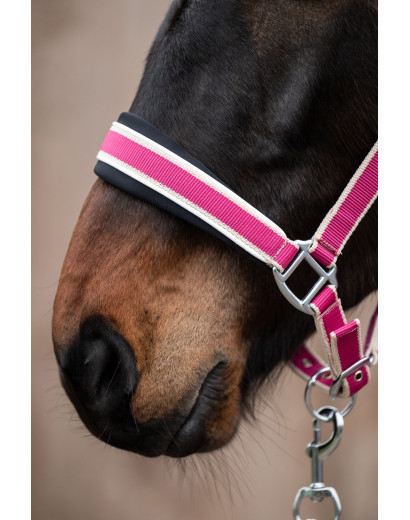 HKM Headcollar & Leadrope...