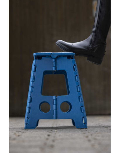 copy of Hippotinic Folding...