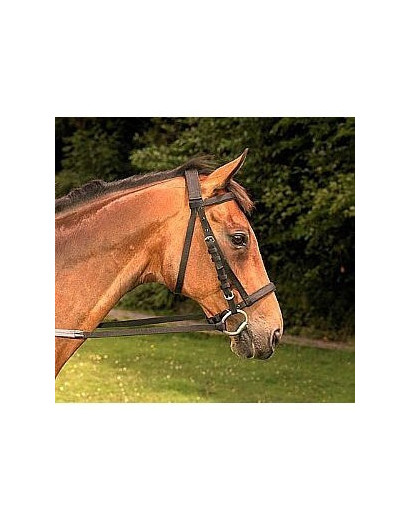 Mackey Padded Nylon Bridle