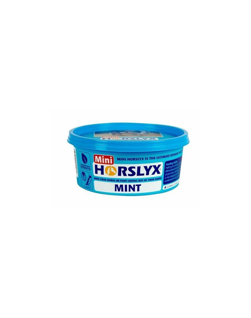 Horslyx Mint Lick Mini 650g