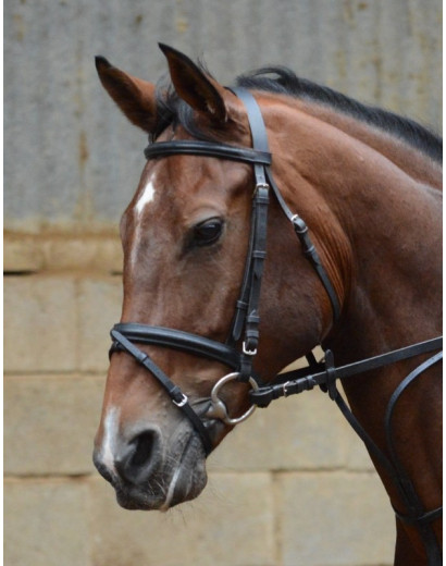 Equisential Leather Bridle & Reins- Black