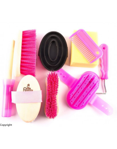 Equerry Junior Grooming Kits- Pink