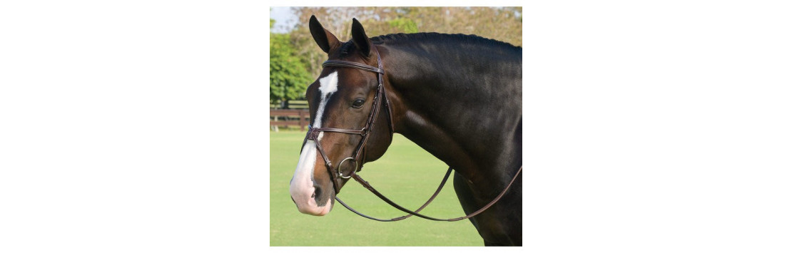 Bits & Pieces | Essentially Equestrian | Athlone