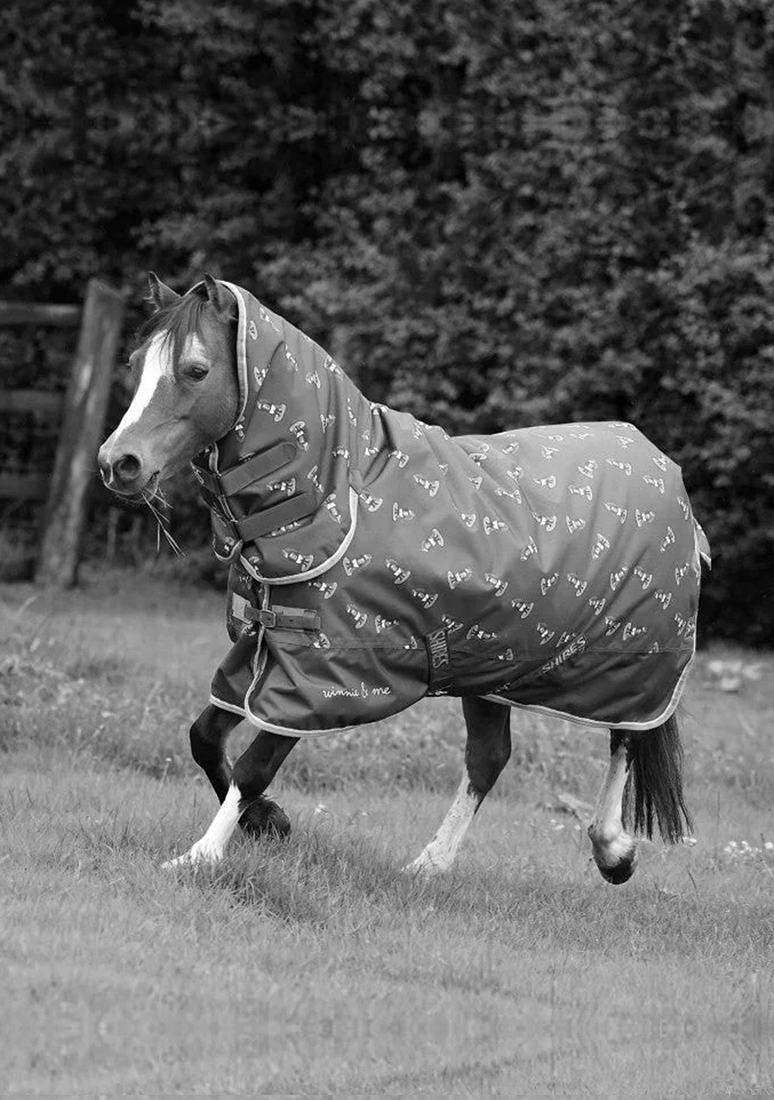 Rug Cleaning & Repair