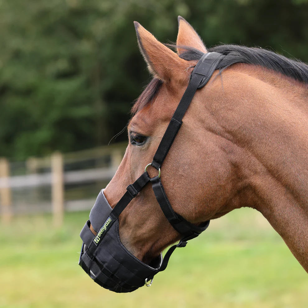 Shires Freegraze Airflow Grazing Muzzle