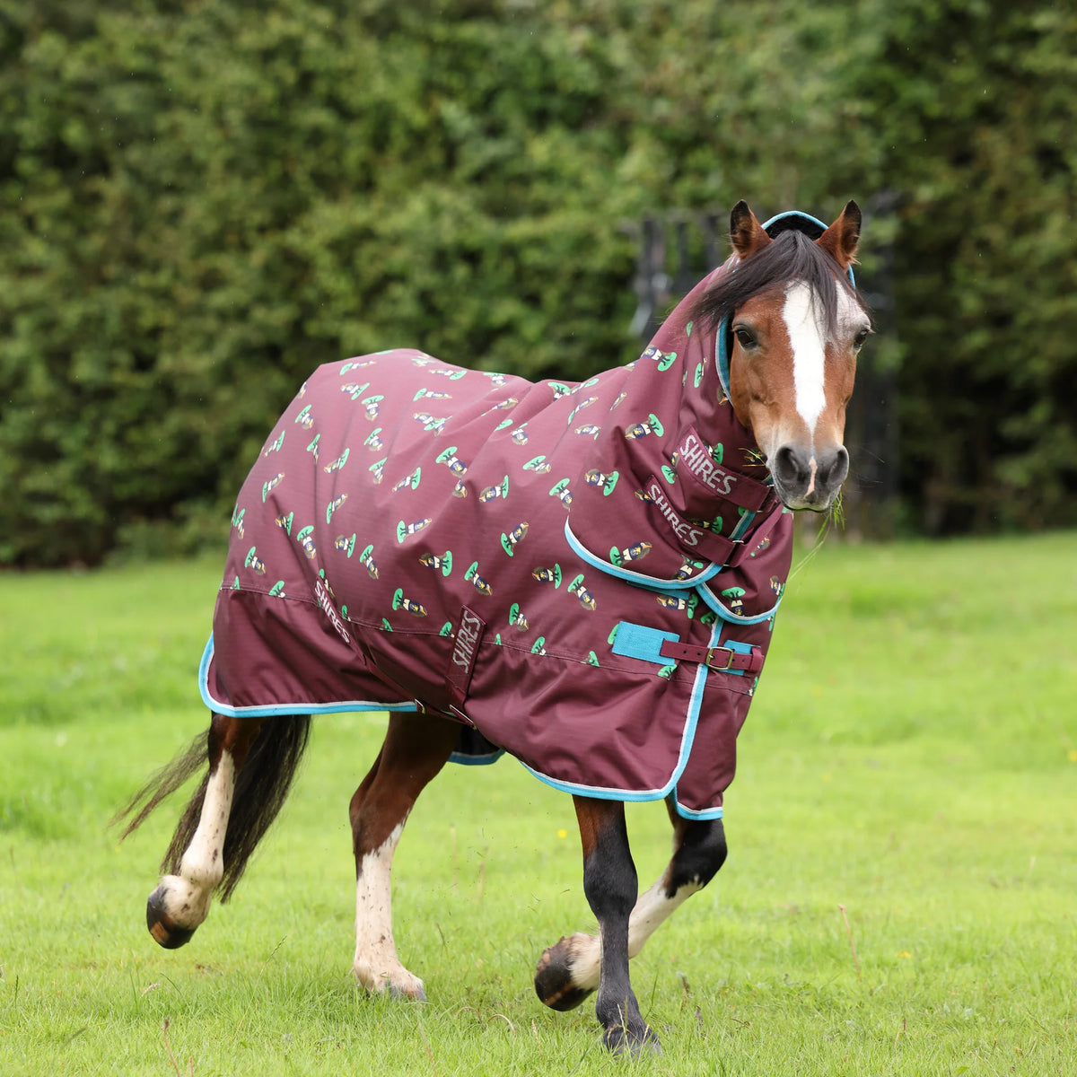 Shires Winnie & Me 200 Turnout Combo Rug Maroon
