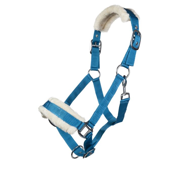 HKM Headcollar- Turquoise with Fleece Padding