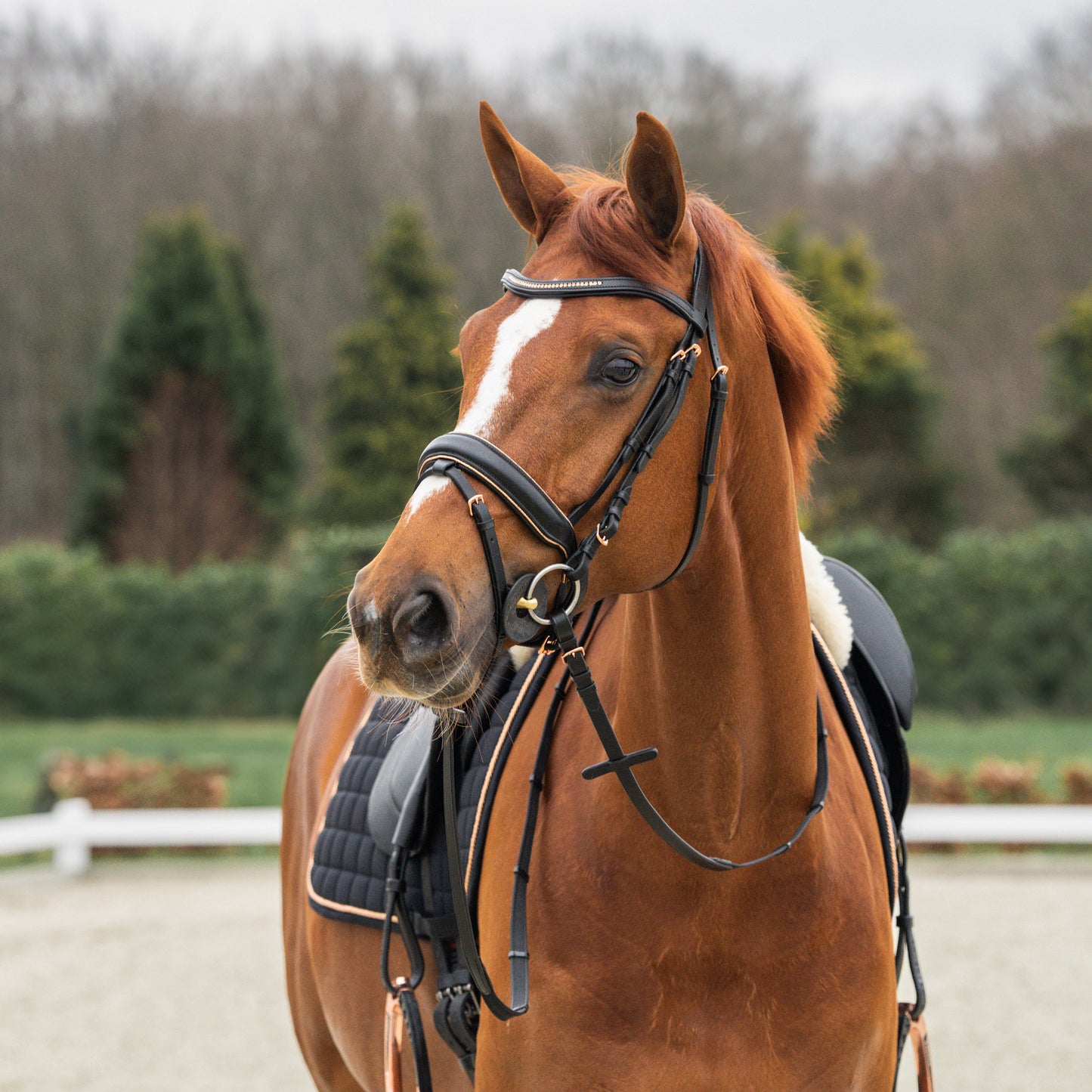 Horka Deluxe Bridle- Black/ Rose Gold
