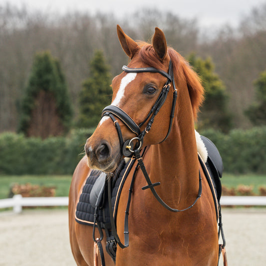 Horka Deluxe Bridle- Black/ Rose Gold
