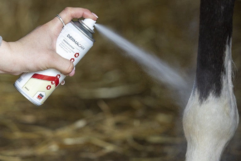 Derbymed Dermacam formally SCP Spray 200ml (wound and skin Spray)