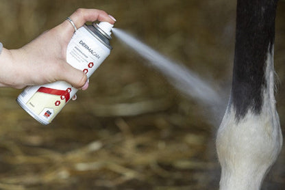 Derbymed Dermacam formally SCP Spray 200ml (wound and skin Spray)