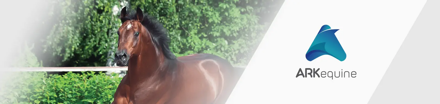 Derbymed Dermacam formally SCP Spray 200ml (wound and skin Spray)