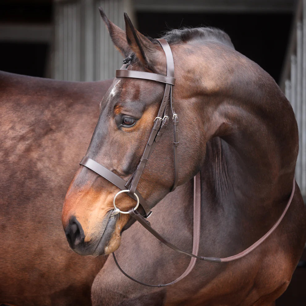 Velociti GARA Plain Bridle- Small Pony Size- Brown