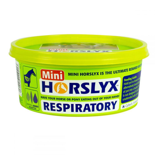 Horslyx Respitory Lick Mini 650g