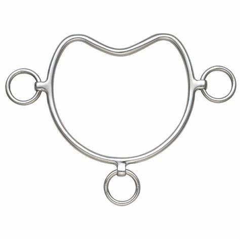 Chifney Anti Rearing Bit- 5"