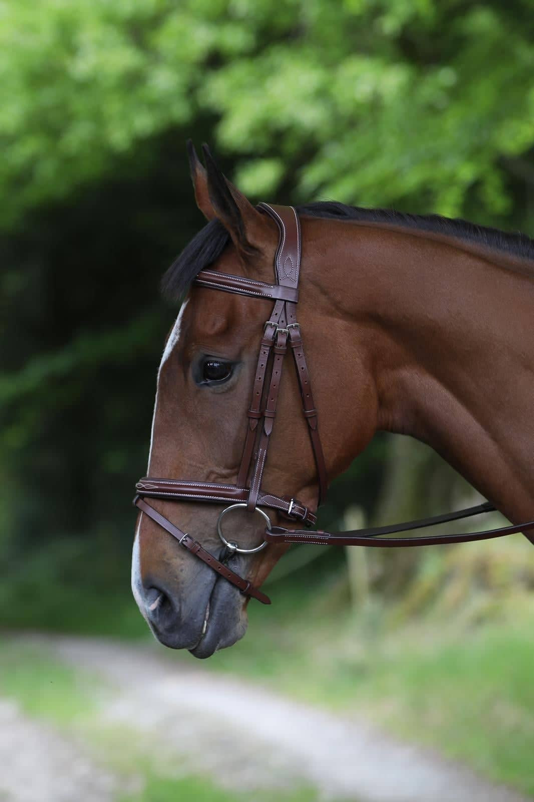 Celtic Equine Puissance Hickstead Bridle & Reins- Black