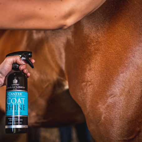 CDM Canter Coat Shine Conditioner Spray - 500ml