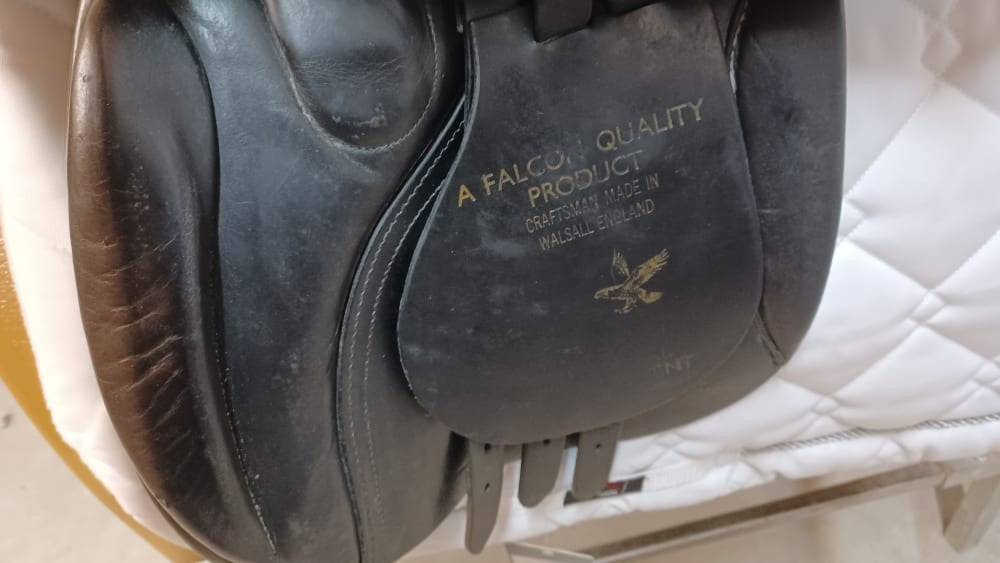 17" Falcon- On Trial