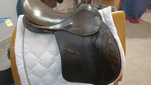 17" Falcon- On Trial