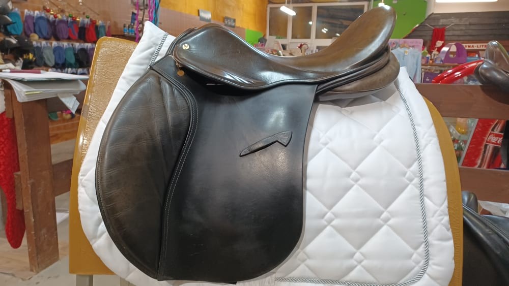 17" Falcon- On Trial