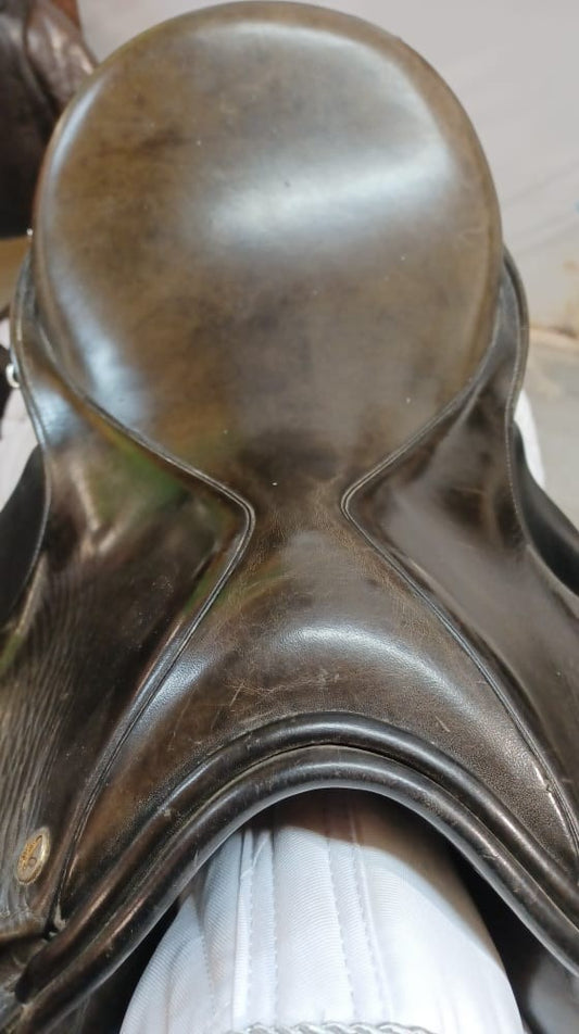 17" Falcon- On Trial