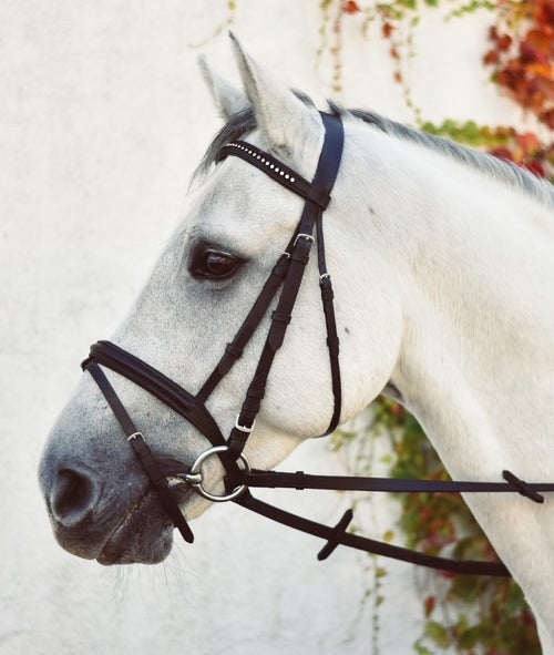 Equisential Bling Bridle- Black
