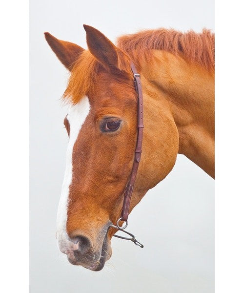 Leather Chifney Strap