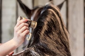 Smart Grooming Plaiting Wax