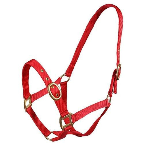 Turfmaster Headcollars- Yearling