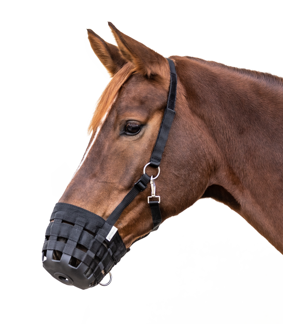 Waldhausen Grazing Muzzle
