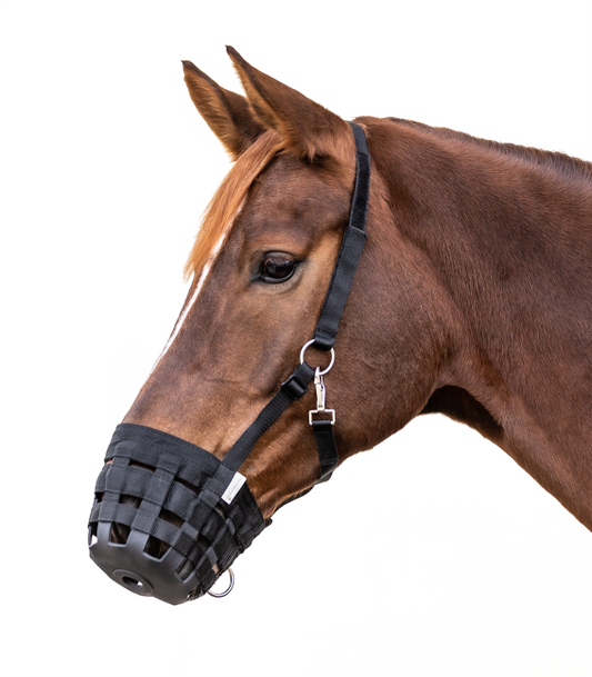 Waldhausen Grazing Muzzle