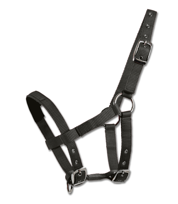 Waldhausen Headcollar for Mini-Shetland- Black