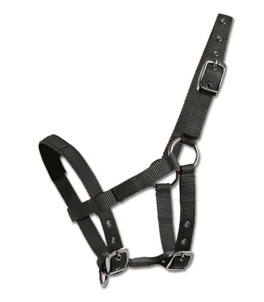 Waldhausen Headcollar for Mini-Shetland- Black