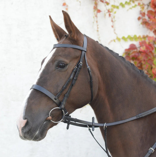 Mackey Classic Hunt/ Show Bridle