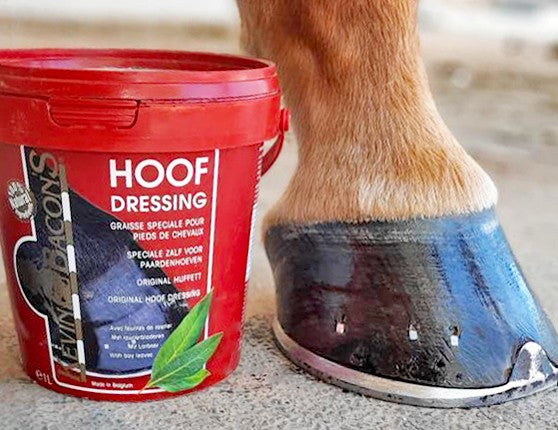 Kevin Bacon's Hoof Dressing- 250ml